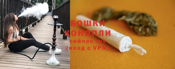 крисы Баксан