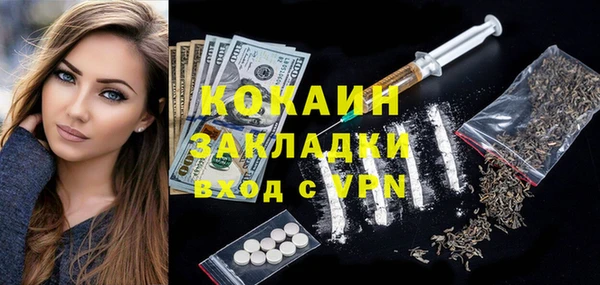 крисы Баксан