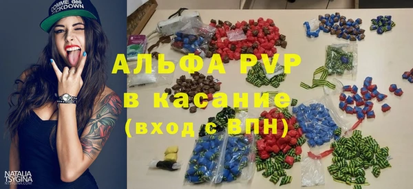 крисы Баксан
