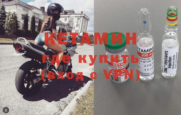 крисы Баксан