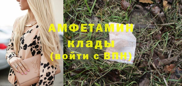 крисы Баксан