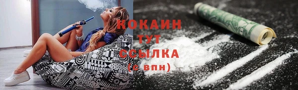 крисы Баксан