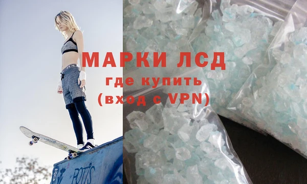 крисы Баксан